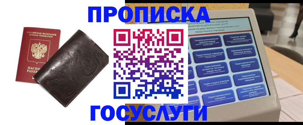 прописка в Щёлково